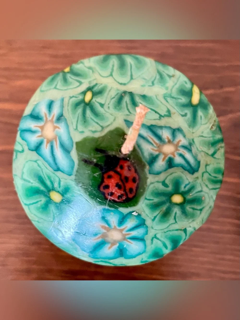 Vintage Psychedelic Mushroom + Ladybug Candle - Green & Blue (UNBURNED) Y2K